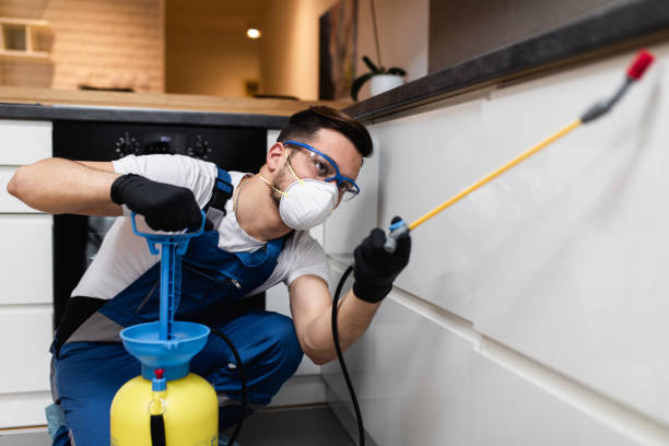 Best Best Pest Control Companies  in Shadow Lake, WA