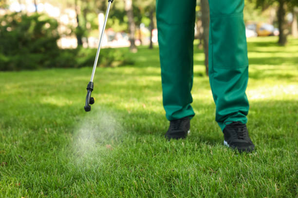 Best Pest Control Near Me in Shadow Lake, WA