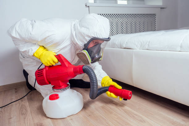 Flea Control Services in Shadow Lake, WA