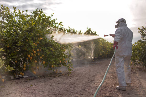 Pest Control Cost in Shadow Lake, WA